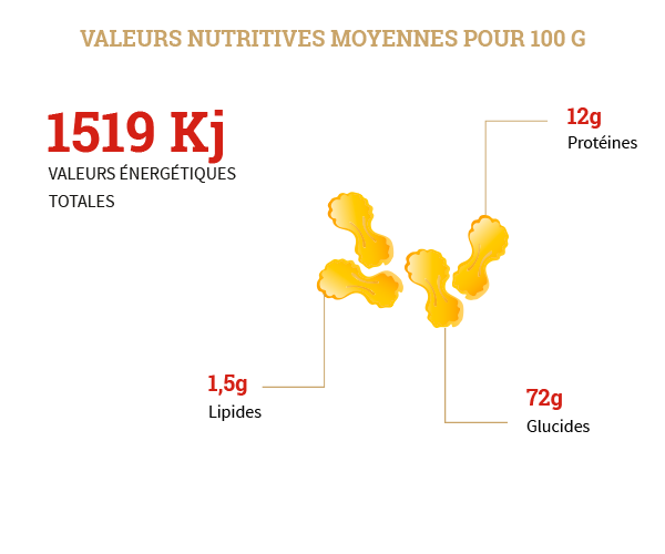 Farfalle 2