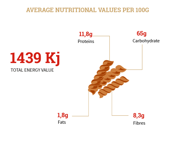 Warda whole grain fusilli