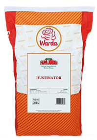 /sites/default/files/2025-03/dustinator-associe_0.png