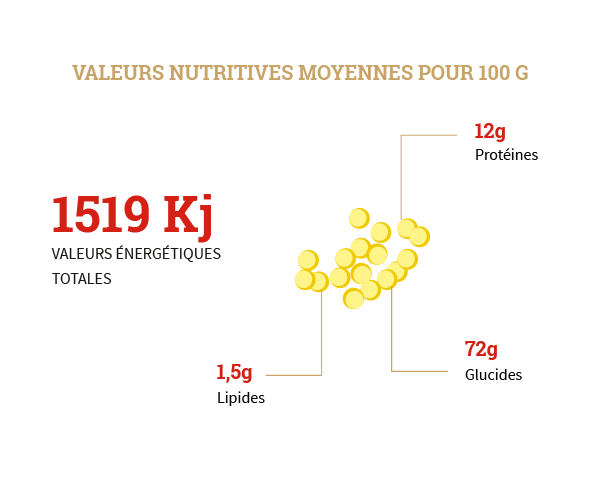 Mhammas warda