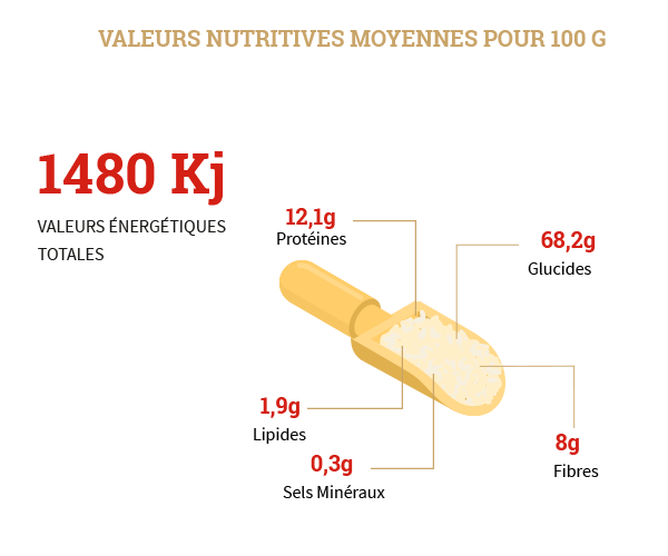 Préparation pour pain de campagne